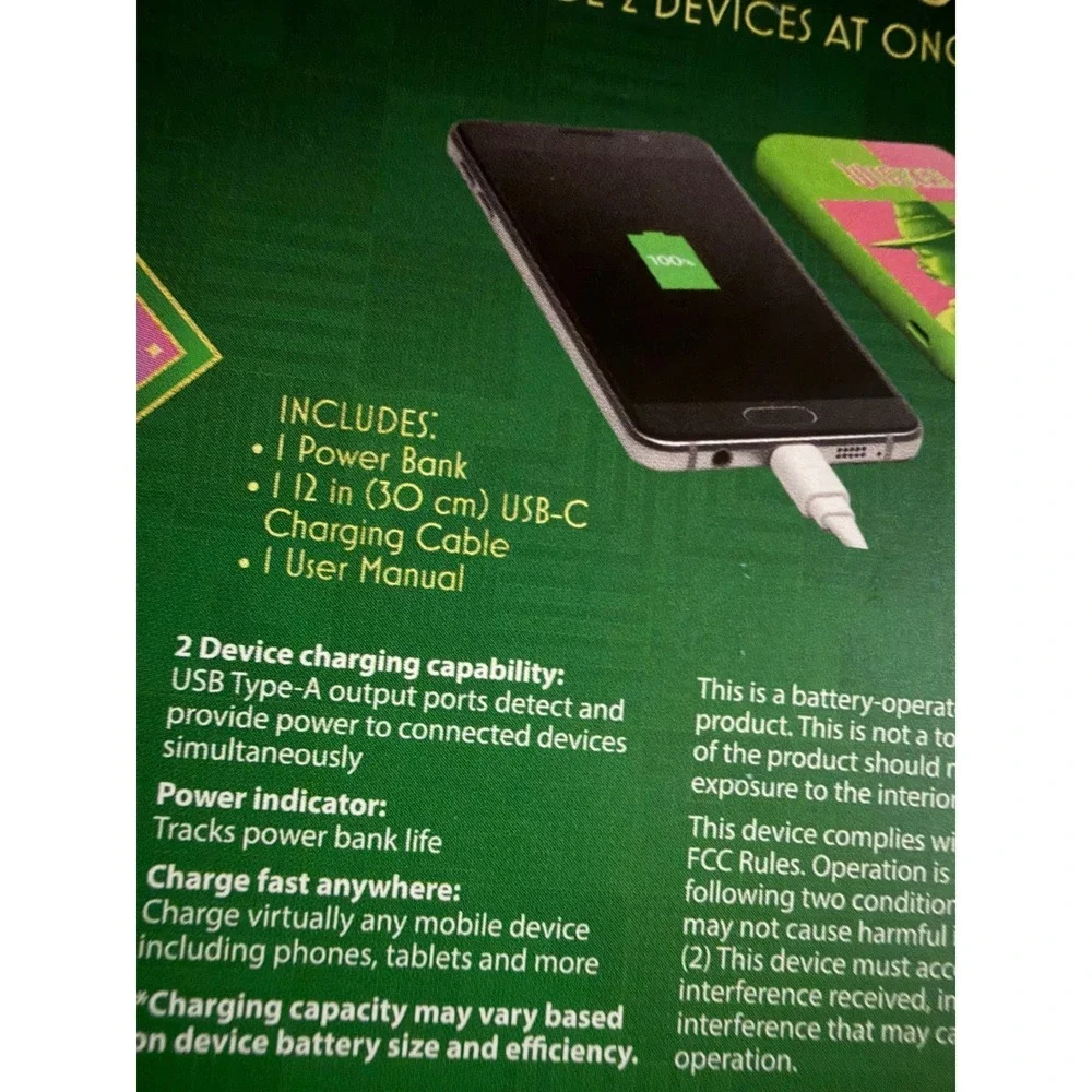 Wicked Movie Power Bank 4000 mAh Portable Charger Elphaba Glinda 3 Ports USB-C
